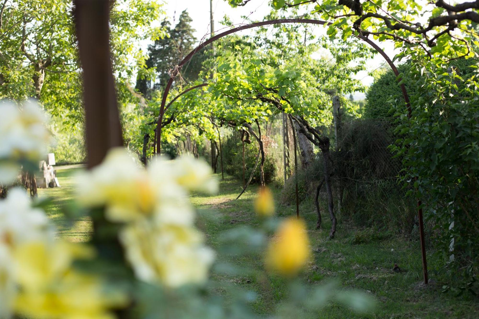 Villa Campo Di Fiore Arezzo Buitenkant foto
