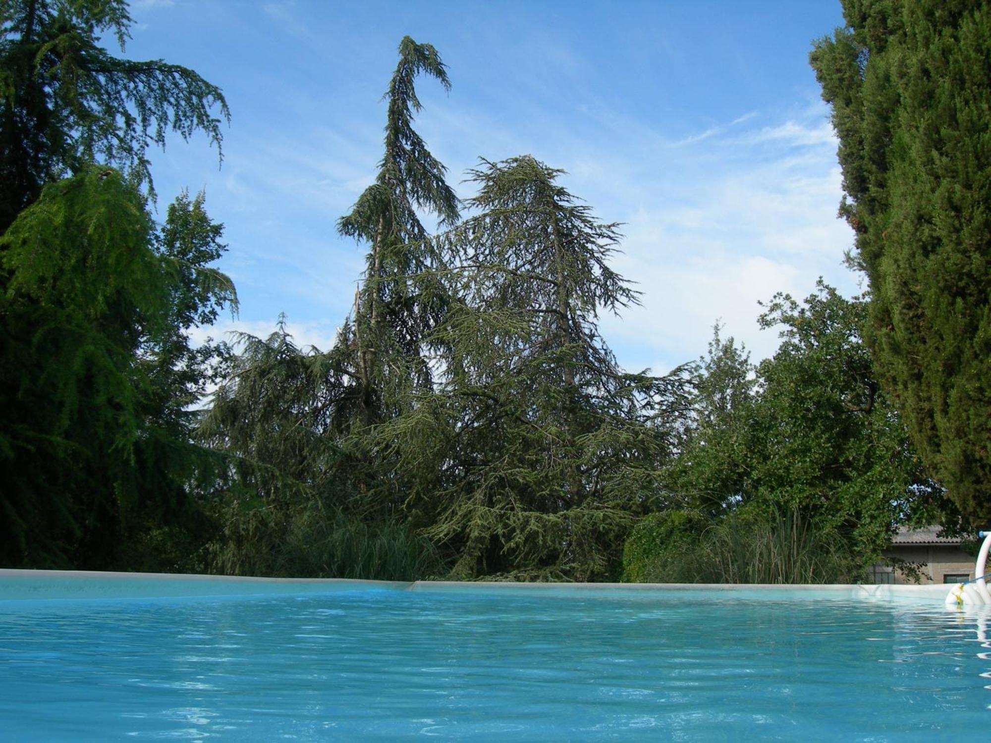 Villa Campo Di Fiore Arezzo Buitenkant foto